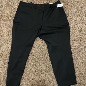 Express Columnist dress pant - SHORT length